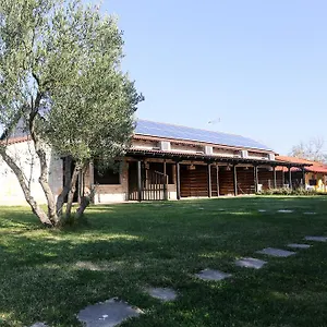 Gioulis & Apartment